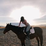 Tatum Danielle Higginbotham - @mtcequestrian__ - Instagram