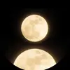 Danielle Hightower - @danielle.hightowe451 - TikTok