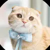 Danielle Hightower - @danielle.hightowe31 - TikTok