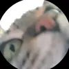 Danielle Hightower - @danielle.hightowe45 - TikTok