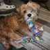 Danielle Himes - Facebook