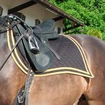 danielle barton-hine - @nytack_equestrain - Instagram
