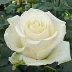 Christian Poems by Danielle K. Hinerman - Facebook