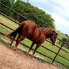 Danielle Hinkle Robbins - @danielle.hinkle.r - TikTok