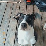 Danielle Hinson - @danielle.hinson.142 - Instagram