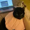 Danielle Holtz - @danielleh1231 - TikTok