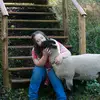 Danielle Oberholtzer - @danielleoberholtz - TikTok