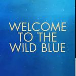 Danielle Hood - @hh_wild_blue - Instagram