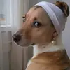 Danielle Houle - @daniellehoule10 - TikTok