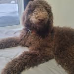 Huard Danielle - @danielle.huard.33 - Instagram