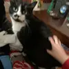 Danielle Huggins257 - @dhuggz - TikTok
