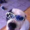 Dany Jalbert - @dany.jalbert - TikTok