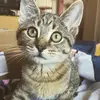Danielle.Julien - @trompdwkuze - TikTok