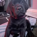 Danielle Kane - Facebook