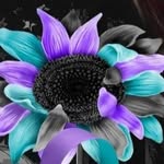 Danielle Keck - @mommakeck_4.2 - Instagram