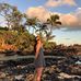 Danielle Keller - Facebook