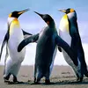 danielleheckler - @danielleheckler - TikTok