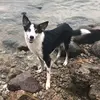 Danielle Keel Raasch - @danik2el - TikTok