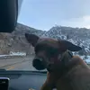 Danielle Keeney - @danielle_k23 - TikTok
