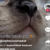 DanielleKemmerCR11358 - @daniellekemmercr11358 - TikTok