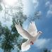 Danielle Kerner - Facebook