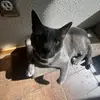 D - @danielle.khan - TikTok