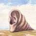 Danielle Khan - Facebook