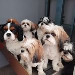 Danielle Khoury - @danielle_khoury_art - Instagram