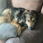 Ellie - @danielle.kiernan_ - Instagram