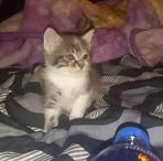 Danielle Kilby - Facebook