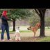 Danielle Kilgore - Facebook