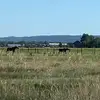 daniellekillpack85 - @daniellekillpack85 - TikTok