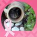 Danielle Guignard - Facebook