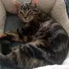 Danielle King - @danielle.king4 - TikTok