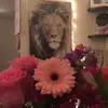 Danielle king - @danielle_king016 - TikTok