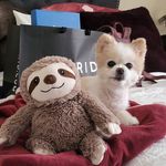Danielle Rodriguez-Kingsley - @kingsleyczarcomcast.net_ - Instagram