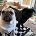 Danielle Kirchoff - Facebook
