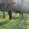 Danielle Kiser - @danik62078 - TikTok
