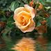 Daniele Cuzzuol - Facebook