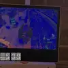 daniellekisto342 - @daniellekisto342 - TikTok