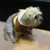 danielle! - @danielle._kites - TikTok