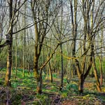 Danielle Kitson - @dkitson_photography - Instagram