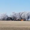 Danielle Knapp - @danielleknapp5 - TikTok