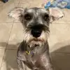 Danielle Koenemund - @danielle.koenemun - TikTok