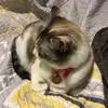 daniellekozak185 - @daniellekozak185 - TikTok