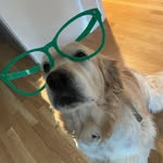 Danielle Kozma Ziady - @koz725 - Instagram