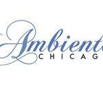Danielle Kruse - @ambientechicago - Instagram