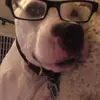 Danielle Kruse - @0 - TikTok