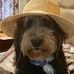 Danielle LaFever Henry - Facebook
