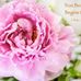 Danielle Latour - Facebook